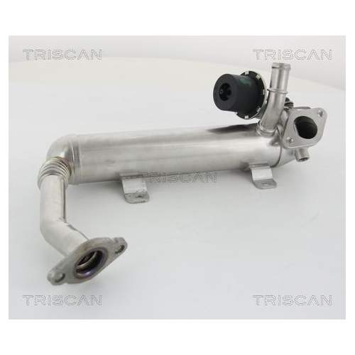 K&uuml;hler, Abgasr&uuml;ckf&uuml;hrung TRISCAN 8813 29319 f&uuml;r AUDI SEAT SKODA VW