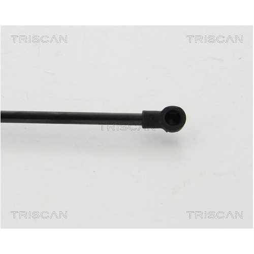 Gasfeder, Koffer-/Laderaum TRISCAN 8710 24254 f&uuml;r CHEVROLET