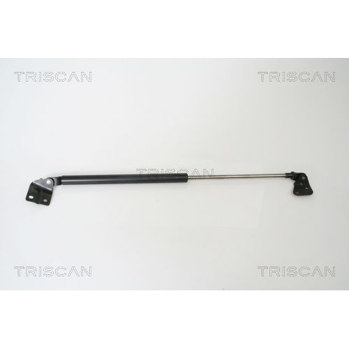 Gasfeder, Koffer-/Laderaum TRISCAN 8710 69215 f&uuml;r SUBARU SUZUKI, rechts