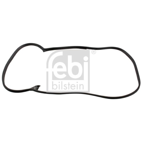 Febi Bilstein 08875 T&uuml;rdichtung , 1 St&uuml;ck