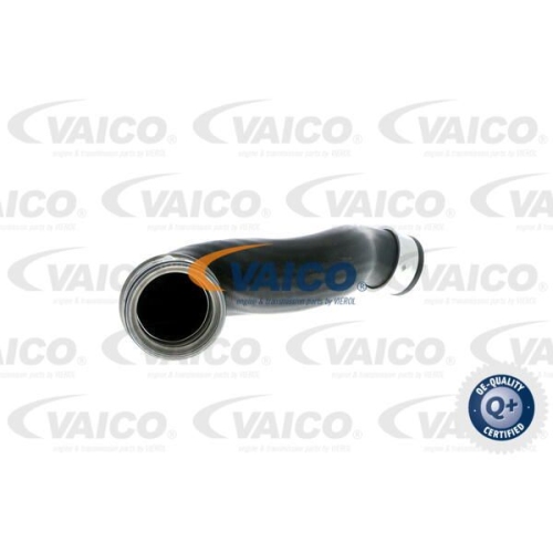 Ladeluftschlauch VAICO V10-2697 Q+, Erstausr&uuml;sterqualit&auml;t f&uuml;r AUDI SEAT SKODA VW