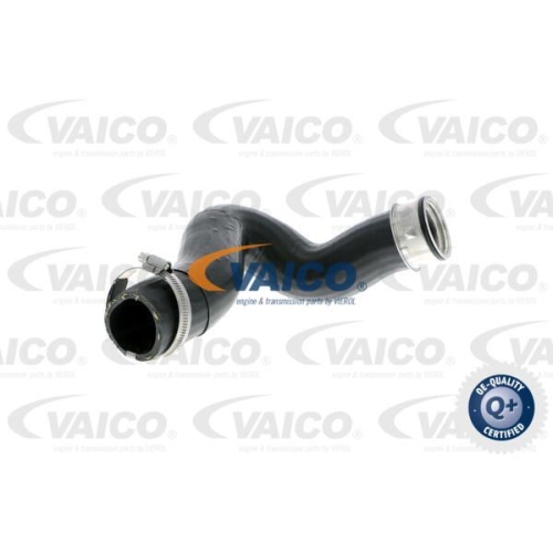 Ladeluftschlauch VAICO V10-2837 Q+, Erstausr&uuml;sterqualit&auml;t f&uuml;r AUDI SEAT SKODA VW