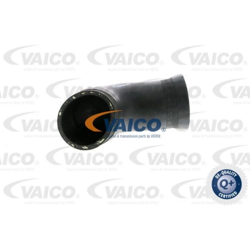 Ladeluftschlauch VAICO V10-2923 Q+, Erstausr&uuml;sterqualit&auml;t f&uuml;r AUDI SEAT SKODA VW