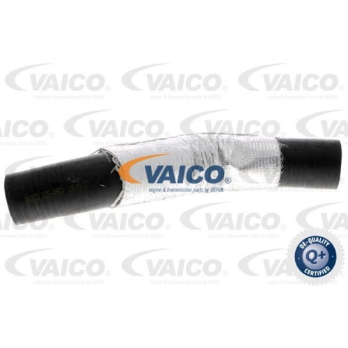 Ladeluftschlauch VAICO V25-0950 Q+, Erstausr&uuml;sterqualit&auml;t f&uuml;r FORD VOLVO