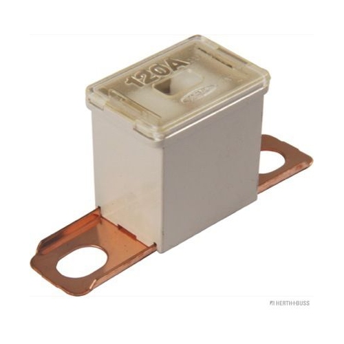Sicherung HERTH+BUSS ELPARTS 50295469