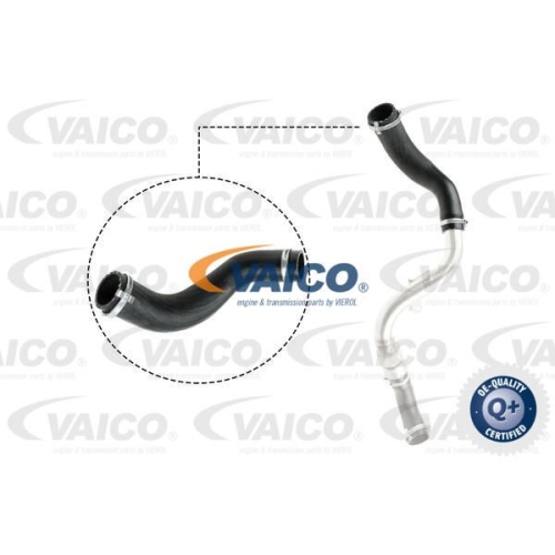 Ladeluftschlauch VAICO V25-1024 Q+, Erstausr&uuml;sterqualit&auml;t f&uuml;r FORD
