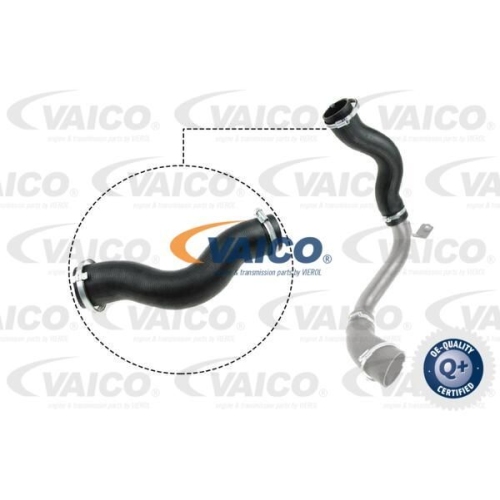 Ladeluftschlauch VAICO V25-1030 Q+, Erstausr&uuml;sterqualit&auml;t f&uuml;r FORD