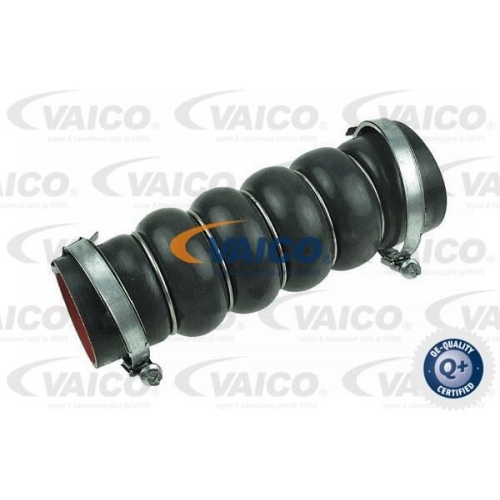 Ladeluftschlauch VAICO V25-1042 Q+, Erstausr&uuml;sterqualit&auml;t f&uuml;r FORD