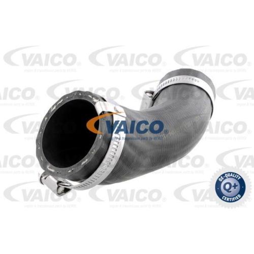 Ladeluftschlauch VAICO V25-1051 Q+, Erstausr&uuml;sterqualit&auml;t f&uuml;r FORD