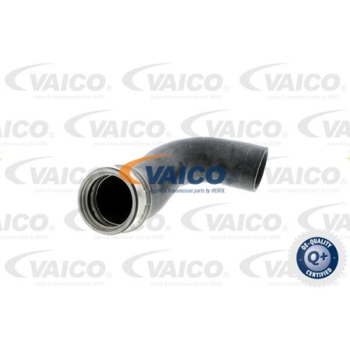 Ladeluftschlauch VAICO V30-2246 Q+, Erstausr&uuml;sterqualit&auml;t f&uuml;r MERCEDES-BENZ