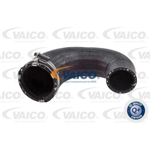 Ladeluftschlauch VAICO V40-1524 Q+, Erstausr&uuml;sterqualit&auml;t f&uuml;r OPEL