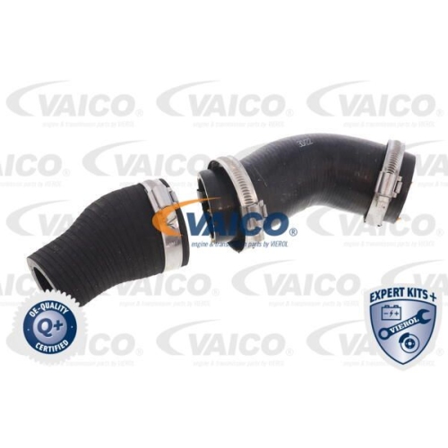 Ladeluftschlauch VAICO V42-0598 EXPERT KITS + f&uuml;r FIAT PEUGEOT