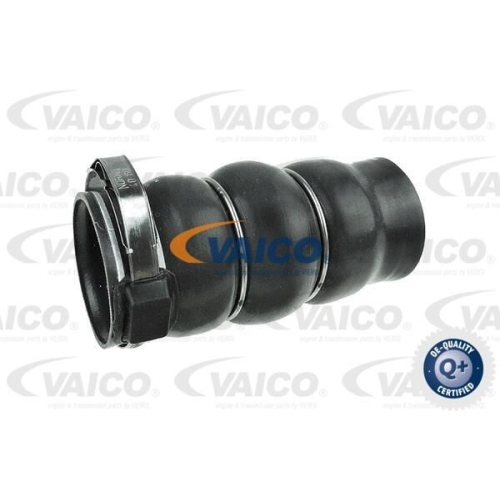 Ladeluftschlauch VAICO V42-0606 Q+, Erstausr&uuml;sterqualit&auml;t f&uuml;r PEUGEOT