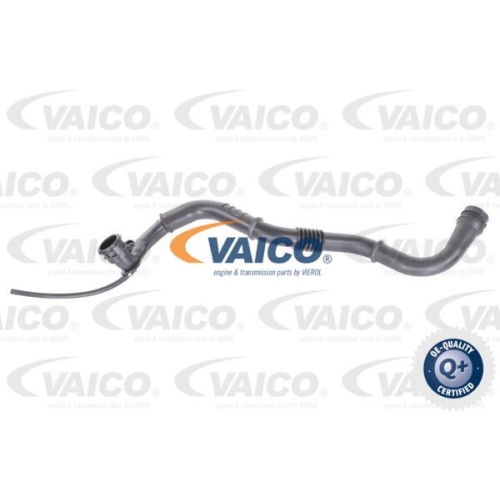 Ladeluftschlauch VAICO V46-0742 Q+, Erstausr&uuml;sterqualit&auml;t f&uuml;r RENAULT