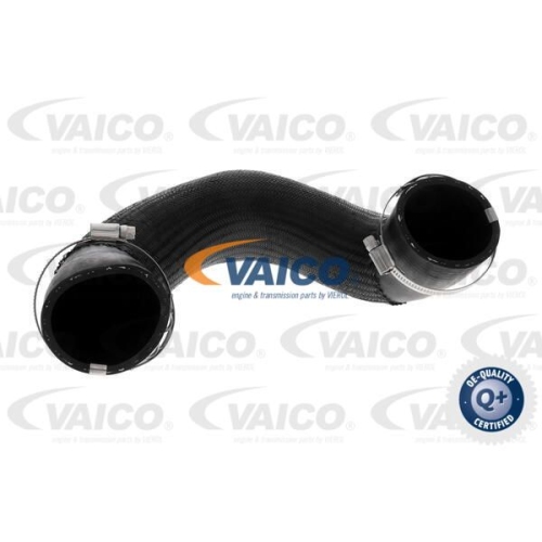 Ladeluftschlauch VAICO V46-0849 Q+, Erstausr&uuml;sterqualit&auml;t f&uuml;r RENAULT