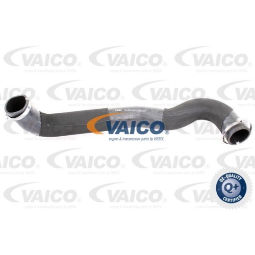 Ladeluftschlauch VAICO V48-0070 Q+, Erstausr&uuml;sterqualit&auml;t f&uuml;r LAND ROVER