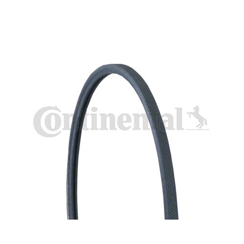 Keilrippenriemen CONTINENTAL CTAM 2PJ838 f&uuml;r AUDI VW
