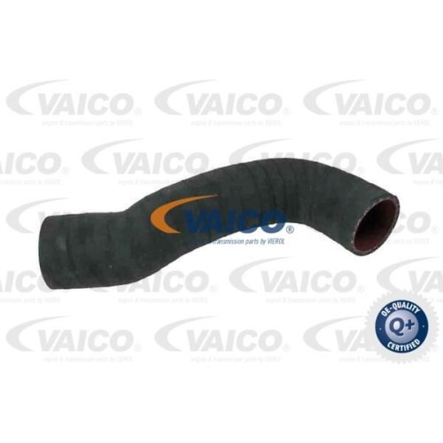 Ladeluftschlauch VAICO V95-0351 Q+, Erstausr&uuml;sterqualit&auml;t f&uuml;r VOLVO