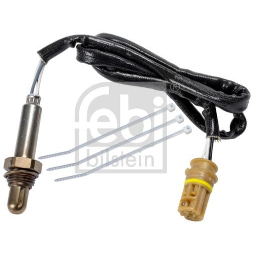 Lambdasonde FEBI BILSTEIN 177281 f&uuml;r BMW, hinten, links