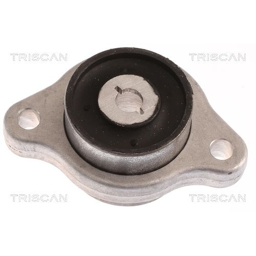 Lagerung, Lenker TRISCAN 8500 23888 f&uuml;r, Vorderachse, links, unten, vorne