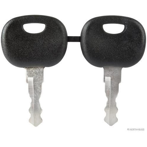 Schl&uuml;ssel HERTH+BUSS ELPARTS 70598047016 f&uuml;r HANOMAG HENSCHEL FAUN FENDT KRAMER