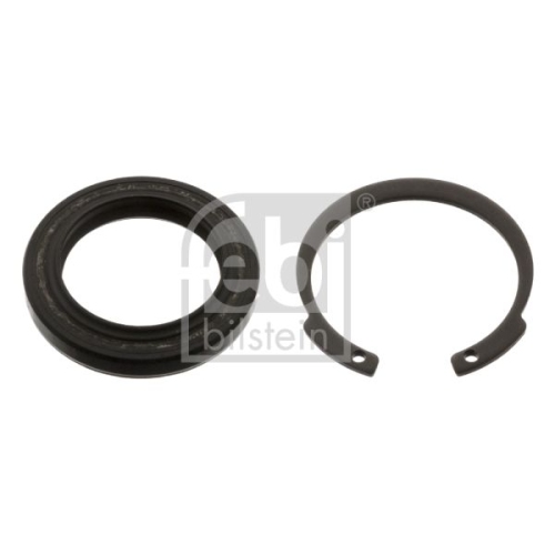 Febi Bilstein 44527 Dichtungssatz f&uuml;r Lenkgetriebe , 1 St&uuml;ck