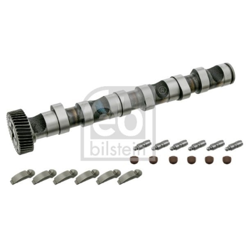Febi Bilstein 29918 Nockenwellensatz Auslass, Zylinder 1-3 , 1 St&uuml;ck