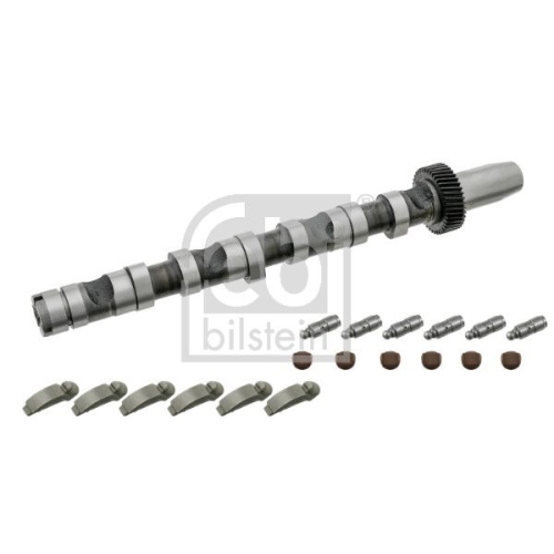 Febi Bilstein 29920 Nockenwellensatz Einlass, Zylinder 4-6 , 1 St&uuml;ck