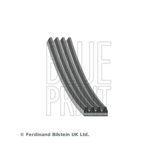 Blue Print 1x AD04R965BP Keilrippenriemen