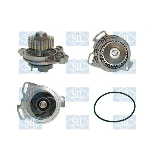 Wasserpumpe Saleri SIL PA619P f&uuml;r AUDI