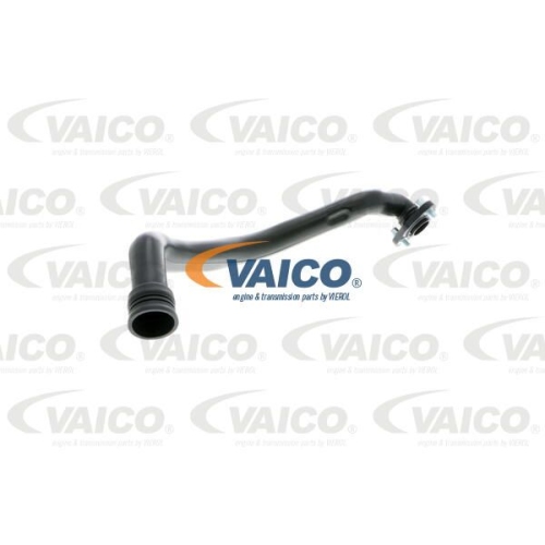 Schlauch, Zylinderkopfhaubenentl&uuml;ftung VAICO V10-9766 Original VAICO Qualit&auml;t VW