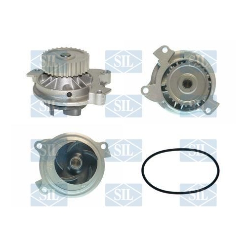 Wasserpumpe Saleri SIL PA664P f&uuml;r AUDI