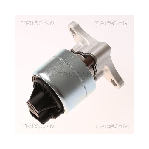 AGR-Ventil TRISCAN 8813 21026 f&uuml;r CHEVROLET DAEWOO