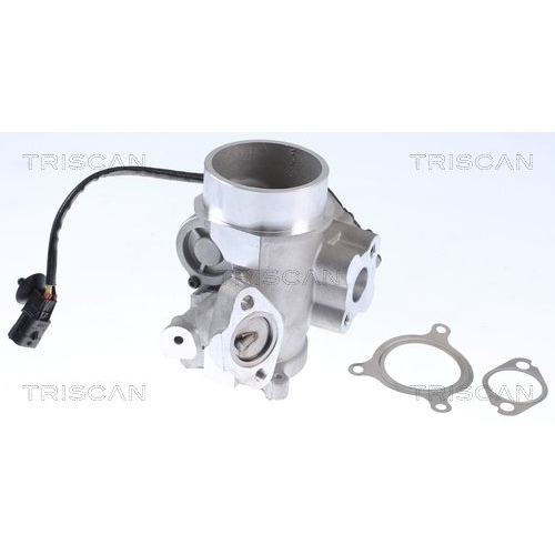 AGR-Ventil TRISCAN 8813 25200 f&uuml;r RENAULT