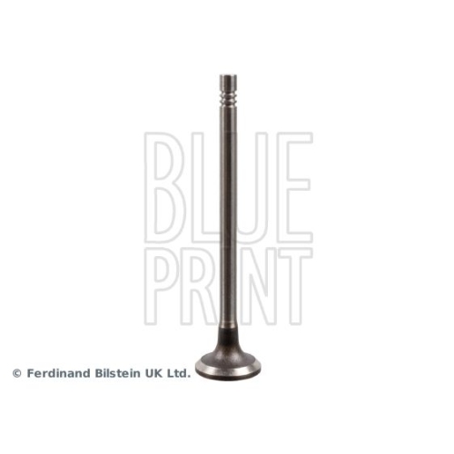 Blue Print 1x ADBP610034BP Einlassventil