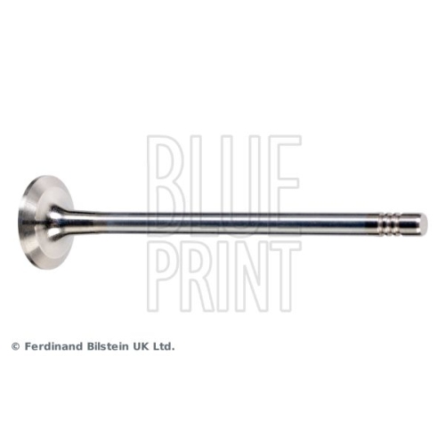 Blue Print 1x ADBP610040BP Auslassventil