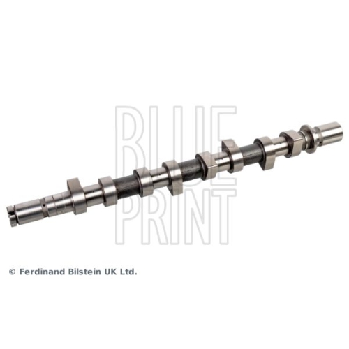 Blue Print 1x ADBP610042BP Nockenwelle