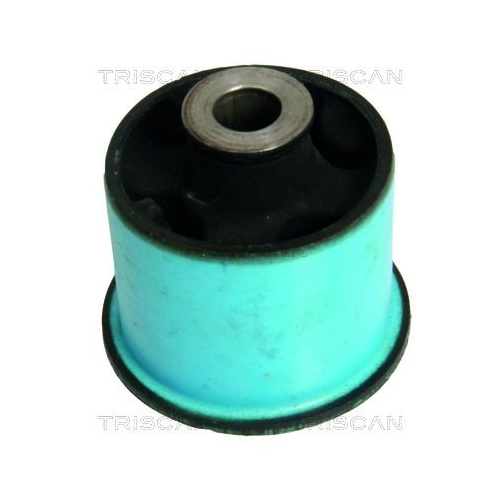 Lagerung, Achsk&ouml;rper TRISCAN 8500 38812 f&uuml;r CITRO&Euml;N, Hinterachse, links, rechts