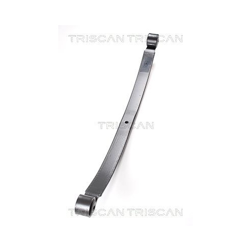 Federnpaket TRISCAN 8765 16027 f&uuml;r FORD KRAMER, Hinterachse