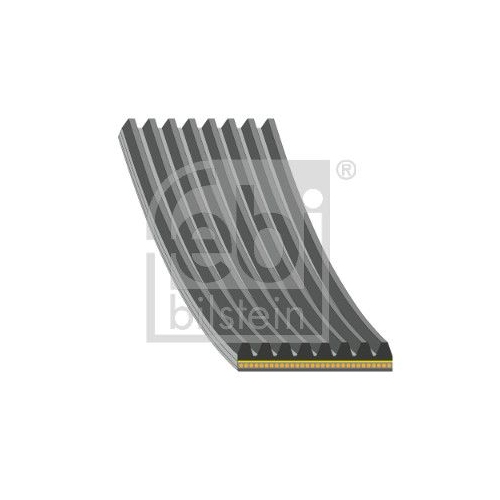 Keilrippenriemen FEBI BILSTEIN 179891 f&uuml;r BMW
