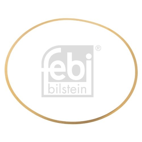Febi Bilstein 49541 Dichtring f&uuml;r Zylinderlaufbuchse , 1 St&uuml;ck