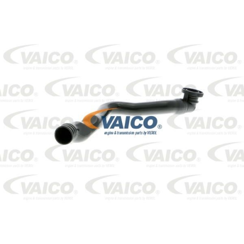Schlauch, Kurbelgeh&auml;useentl&uuml;ftung VAICO V10-3099 Original VAICO Qualit&auml;t f&uuml;r VW