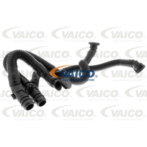 Schlauch, Kurbelgeh&auml;useentl&uuml;ftung VAICO V10-3503 Original VAICO Qualit&auml;t f&uuml;r VAG