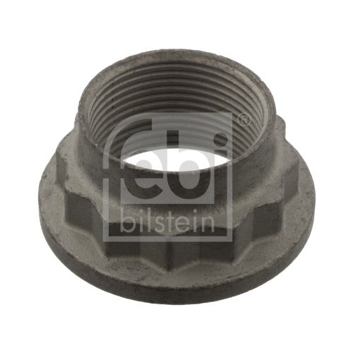 Febi Bilstein 44736 Zw&ouml;lfkantbundmutter f&uuml;r Gelenkflansch , 1 St&uuml;ck