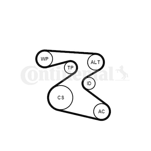 Keilrippenriemensatz CONTINENTAL CTAM 6PK1873K1