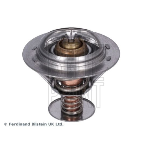 Blue Print 1x ADT39211BP Thermostat mit Dichtring
