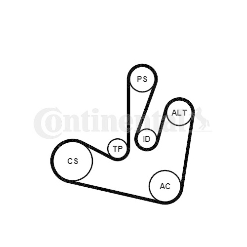 Keilrippenriemensatz CONTINENTAL CTAM 6PK1750K2 f&uuml;r RENAULT