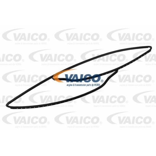 Dichtung, Frontscheibe VAICO V20-1203 Original VAICO Qualit&auml;t f&uuml;r BMW
