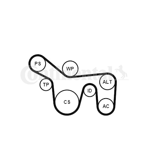 Keilrippenriemen-Kit