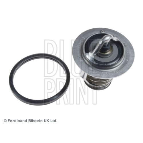 Blue Print 1x ADT39213BP Thermostat mit Dichtring